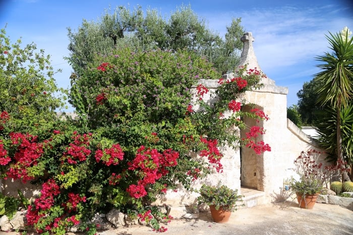 Puglia by bicycle