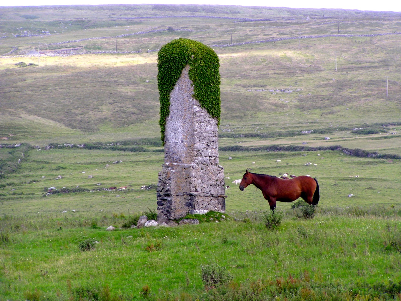 Ireland Bike Tour