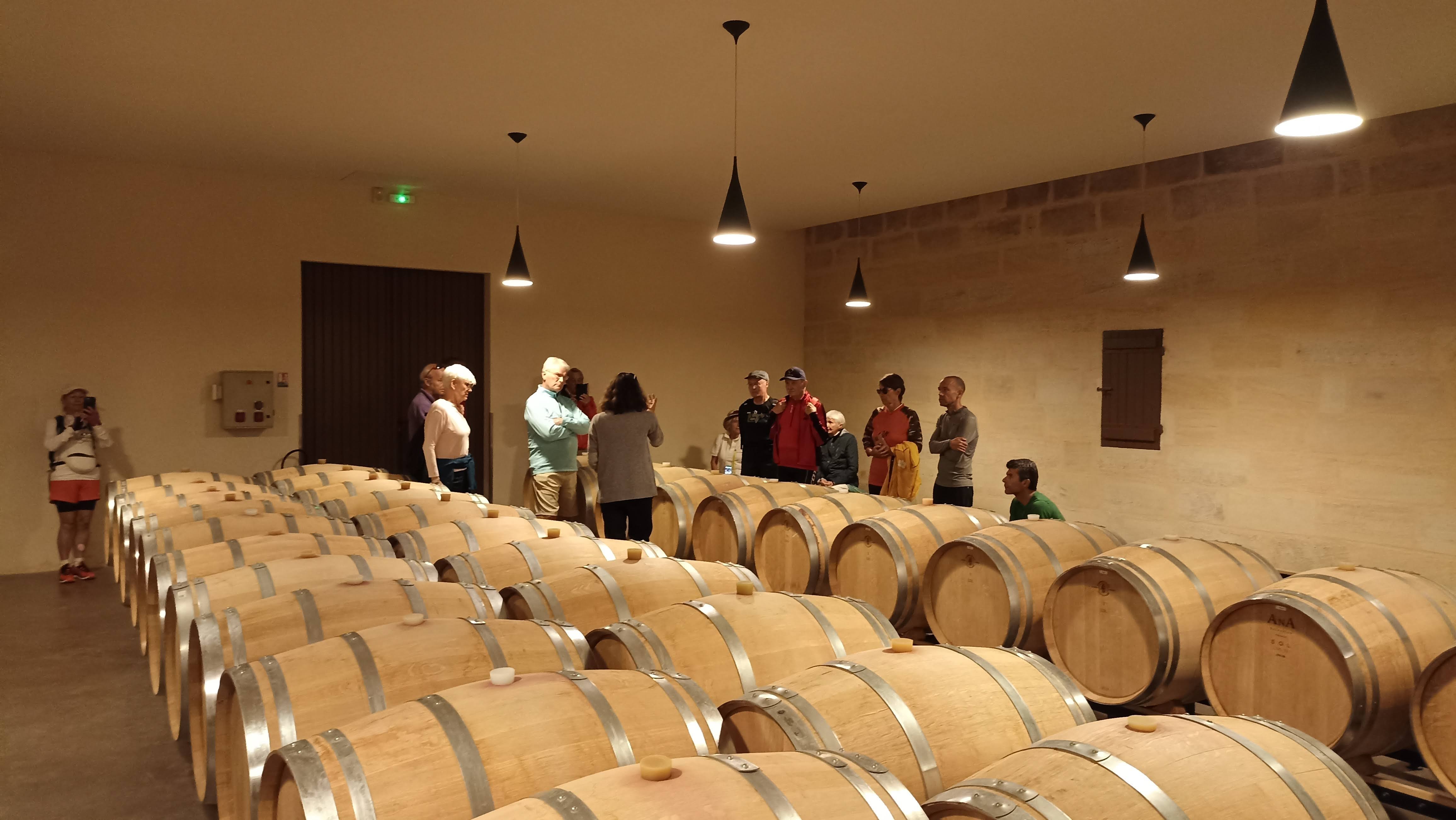 wine cellar tour with wine barrels