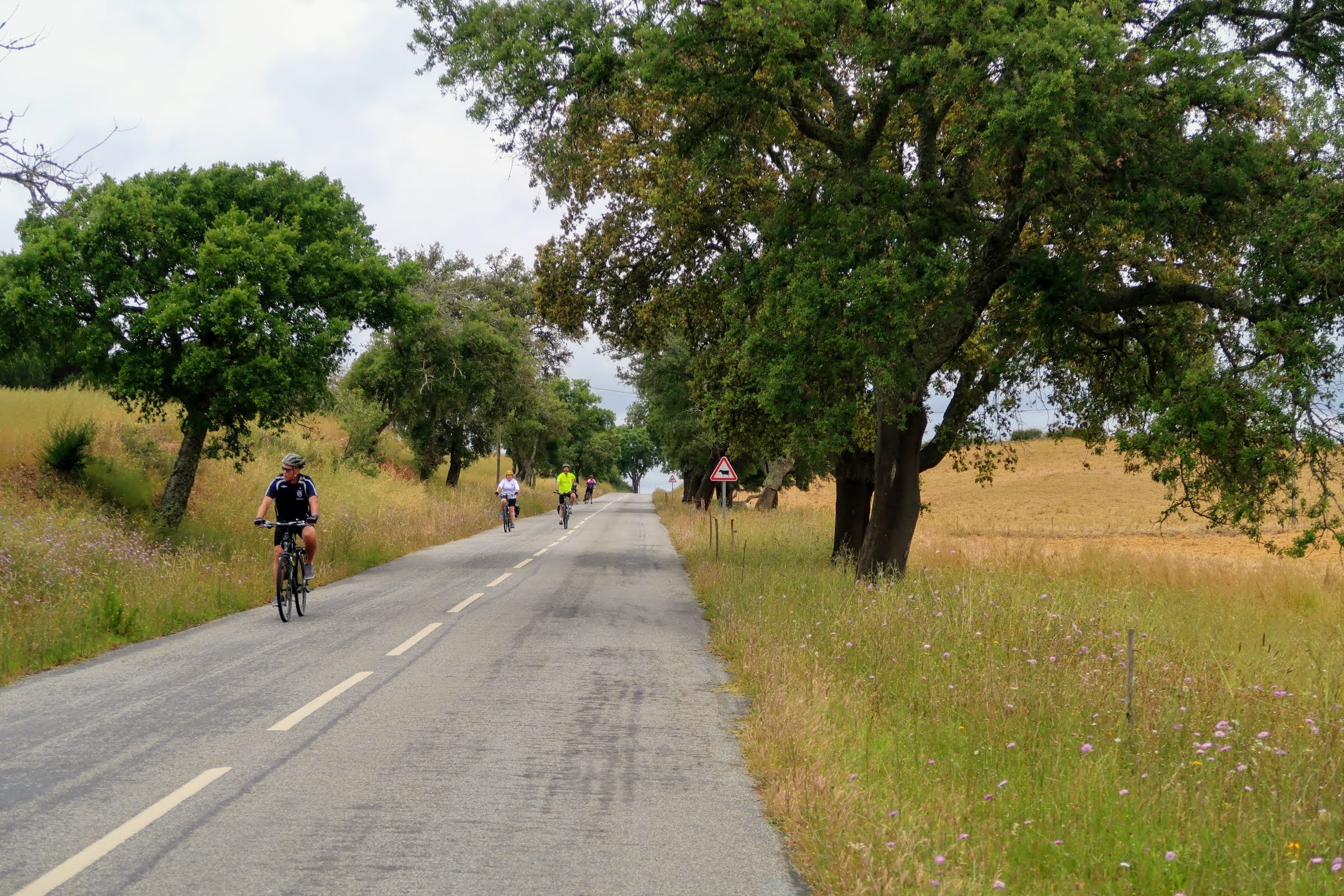 Portugal cycling tour